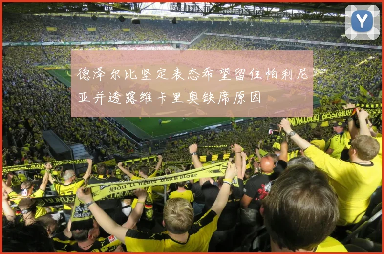 德泽尔比坚定表态希望留住帕利尼亚并透露维卡里奥缺席原因