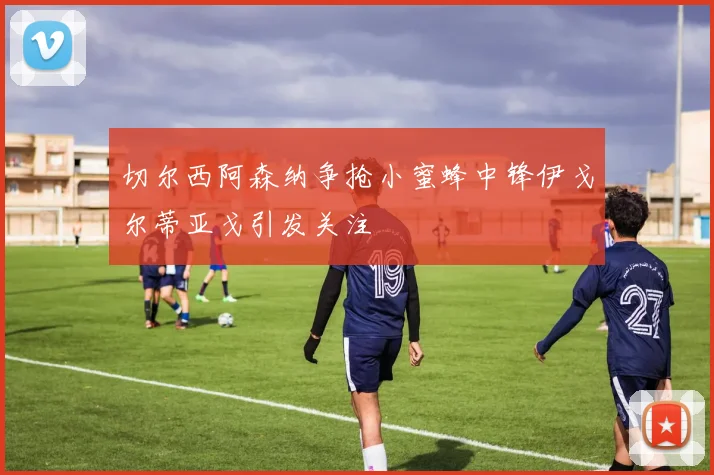 切尔西阿森纳争抢小蜜蜂中锋伊戈尔蒂亚戈引发关注
